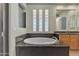 Bathroom featuring a soaking tub beneath a window, with a nearby sink at 2652 N 143Rd Dr, Goodyear, AZ 85395
