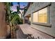 Charming backyard patio with desert landscaping, featuring a lush cactus and decorative stone pavers at 3898 E Palmer St, Gilbert, AZ 85298
