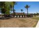 Community pool surrounded by palm trees and landscaping, great for recreation at 4745 W Fremont Rd, Laveen, AZ 85339