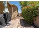 Backyard side yard featuring a grill and an array of plants at 5737 W Hidalgo Ave, Laveen, AZ 85339