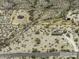 Aerial shot of a property outlined in yellow, showing a single-Gathering home and open land in a desert environment at 10772 N Biznaga St, Florence, AZ 85132