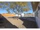 Landscaped backyard with mature tree and lounge furniture, offering a serene outdoor retreat at 1950 W Palm Ln, Phoenix, AZ 85009