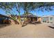 A charming brick home nestled behind a mature tree and featuring desert landscaping at 1950 W Palm Ln, Phoenix, AZ 85009