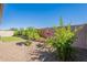Backyard featuring gravel landscaping, mature plants, and a small patch of artificial grass at 20641 W College Dr, Buckeye, AZ 85396