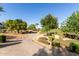 Scenic view of a community golf course with lush landscaping and clear blue skies at 35990 N Desert Tea Dr, Queen Creek, AZ 85140