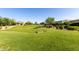 Beautiful green community space with manicured landscaping, walking paths, and lush trees in a well-maintained neighborhood at 35990 N Desert Tea Dr, Queen Creek, AZ 85140