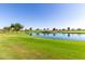 Scenic pond view featuring clear blue water, mature trees, and lush green grass under a bright sky at 35990 N Desert Tea Dr, Queen Creek, AZ 85140