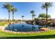 Beautiful community pond with mature palm trees, small waterfalls, decorative rocks, and lush green grass surroundings at 35990 N Desert Tea Dr, Queen Creek, AZ 85140