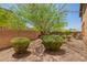 Private backyard with desert landscaping, mature tree and block wall, creating a serene outdoor space at 3760 W Lapenna Dr, New River, AZ 85087