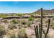 Desert landscape surrounding backyard with mountain view behind cactus at 41809 N La Crosse Trl, Anthem, AZ 85086