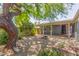 Spacious backyard showcasing a beautiful, mature tree with a fire pit and patio area at 445 W 1St St, Mesa, AZ 85202