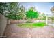 A fenced backyard has green grass and rock landscaping features at 836 N Sinova Ave, Gilbert, AZ 85234