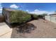 The backyard of this property features decorative gravel for easy maintenance and is surrounded by a block wall at 8738 W Griswold Rd, Peoria, AZ 85345
