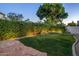 Well-manicured backyard featuring lush green grass, privacy hedges, and stone patio, perfect for outdoor enjoyment at 10141 E Floriade Dr, Scottsdale, AZ 85260