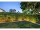 Green backyard featuring lush green grass, privacy hedges and stone patio, perfect for outdoor enjoyment at 10141 E Floriade Dr, Scottsdale, AZ 85260