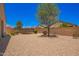 Spacious backyard with desert landscaping and a block fence, featuring a mature shade tree at 1254 E Thomas Dr, Casa Grande, AZ 85122