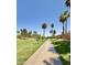 Scenic walking path lined with mature palm trees and lush green grass, perfect for an active lifestyle at 16414 S 36Th St, Phoenix, AZ 85048