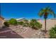 Manicured backyard oasis with mature palms and desert landscape at 17585 N Coyote Lakes Pkwy, Surprise, AZ 85378