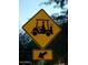 Golf cart crossing sign at 17585 N Coyote Lakes Pkwy, Surprise, AZ 85378