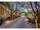 Paver driveway with mature shade trees, architectural lighting, and landscape features at 19054 N 97Th Pl, Scottsdale, AZ 85255
