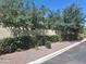 Well maintained landscaping featuring gravel, plants, bushes and large shade trees at 21013 W Wycliff Dr, Buckeye, AZ 85396