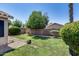 Landscaped backyard featuring a lawn, trees, and block wall at 363 W Bruce Ave, Gilbert, AZ 85233