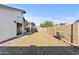 Wide view of the backyard showing grass, patio, block fence, and partial covered patio at 3651 W Escuda Dr, Glendale, AZ 85308