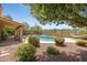 Backyard featuring a pool with lounge chairs, desert landscaping, and a covered patio with seating at 4131 E Cascalote Dr, Cave Creek, AZ 85331