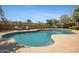 Backyard pool area with blue water, lounge chairs, privacy walls, and hammock with flowering trees at 4131 E Cascalote Dr, Cave Creek, AZ 85331