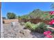 Well-maintained backyard with rock landscaping, desert plants, and brick fence at 43561 W Snow Dr, Maricopa, AZ 85138