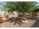 Backyard featuring desert landscaping, block fence and mature trees at 5707 N Kristi Ln, Litchfield Park, AZ 85340