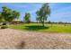 Picturesque park with lush greenery, mature trees, and recreational area creates a serene outdoor space at 6255 S Opal Dr, Chandler, AZ 85249