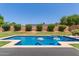 Backyard pool area with clear blue water, grassy lawn, and a privacy wall lined with mature green bushes at 6446 E Beverly Ln, Scottsdale, AZ 85254