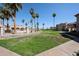 Expansive community landscape featuring lush lawns, palm trees, and walking paths with a pool in the background at 9151 W Greenway Rd # 162, Peoria, AZ 85381