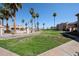 Beautiful community with palm trees and a grassy area, great for outdoor activities and relaxation at 9151 W Greenway Rd # 162, Peoria, AZ 85381