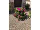 Well maintained landscaping with vibrant pink bougainvillea next to a house at 1085 E Oakland Ct, Gilbert, AZ 85295
