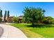 Lovely brick home with well-maintained lawn and mature trees adding to the curb appeal at 125 E Loma Ln, Phoenix, AZ 85020