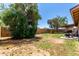 Spacious backyard with mature trees and ample space for outdoor activities at 4845 W Sweetwater Ave, Glendale, AZ 85304