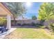 Expansive backyard with green grass and mature trees, offering privacy and space for outdoor activities at 6415 W Escuda Rd, Glendale, AZ 85308