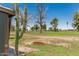 Backyard shot with mature landscaping and natural desert plants at 10022 W Mountain View Rd, Sun City, AZ 85351