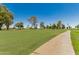 Scenic park view featuring a winding pathway surrounded by lush greenery and mature trees at 10022 W Mountain View Rd, Sun City, AZ 85351