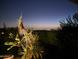 Stunning views from the property overlooking the city lights and surrounding desert landscape at 11320 E Winchcomb Dr, Scottsdale, AZ 85255