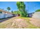 Fenced backyard area with some mature trees and direct access to a concrete pad at 1208 E Tuckey Ln, Phoenix, AZ 85014