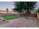 Expansive backyard with a well-manicured lawn, brick patio, and mature trees for shade and privacy at 14864 W Riviera Dr, Surprise, AZ 85379