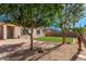 Expansive backyard with a well-manicured lawn, brick patio, mature trees, and beautiful stone landscaping at 14864 W Riviera Dr, Surprise, AZ 85379