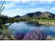 Scenic pond with mountain views and lush greenery, enhancing the community's beauty at 33317 N 71St St, Scottsdale, AZ 85266
