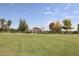A spacious lawn with green grass, trees, and a gazebo provides a relaxing community gathering space at 42382 W Hillman Dr, Maricopa, AZ 85138