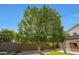 Mature tree provides shade to a luxurious backyard that includes artificial turf, spa, and outdoor living area at 6435 E Monte Cristo Ave, Scottsdale, AZ 85254