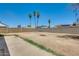 Spacious backyard with a block fence, mature palm trees, and potential for landscaping at 6804 W Turquoise Ave, Peoria, AZ 85345