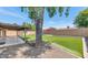 Spacious backyard featuring artificial turf, desert landscaping and a covered patio at 10590 E Mercer Ln, Scottsdale, AZ 85259